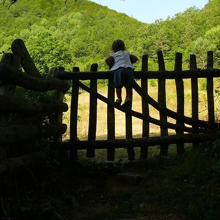 Pension Txiki Ісаба Екстер'єр фото