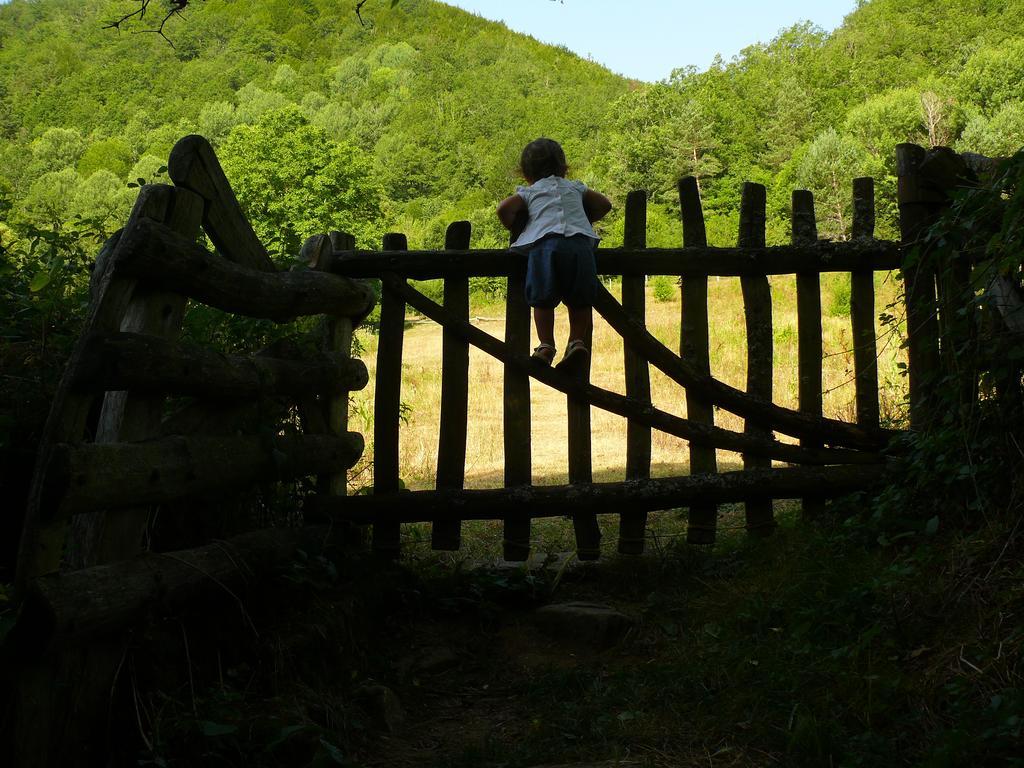 Pension Txiki Ісаба Екстер'єр фото
